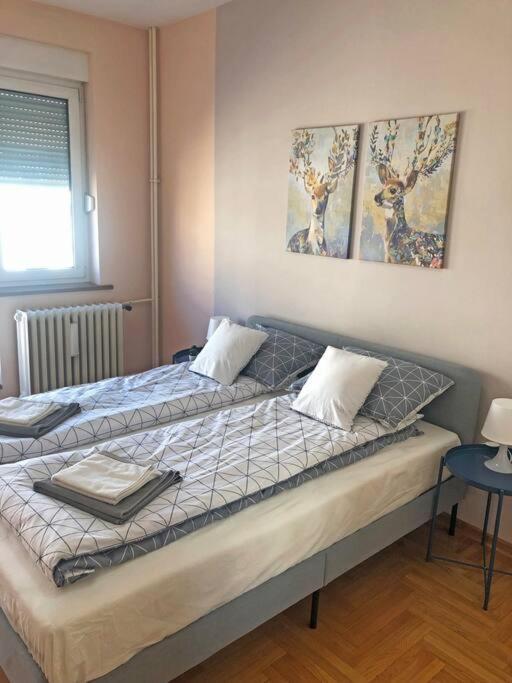 Quince Apartment-Free Parking-City Center Beograd Eksteriør billede