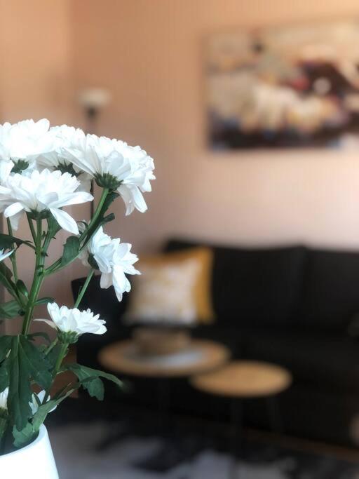 Quince Apartment-Free Parking-City Center Beograd Eksteriør billede