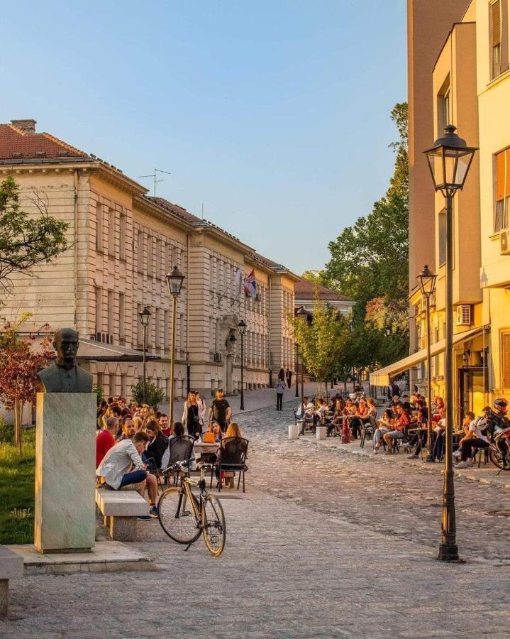 Quince Apartment-Free Parking-City Center Beograd Eksteriør billede